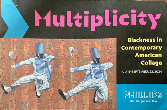 Multiplicity: A Journey into Blackness