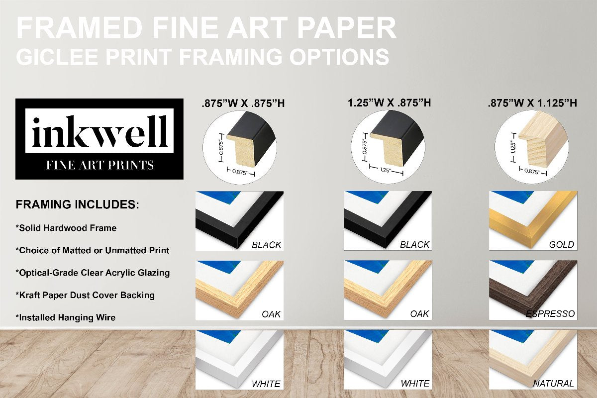 frame choices for fine art prints 